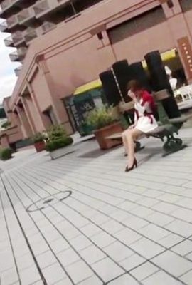جاريا رقم 446 ريسا ميزوكوري (84P)