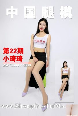 (ZGTM) نموذج الساق الصينية 2017-10-05 رقم 022 شياو تشيكي (26P)