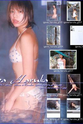 Haruka Ikawa (ألبوم الصور) (شهري シリーズ022) – شهري 022 (55P)