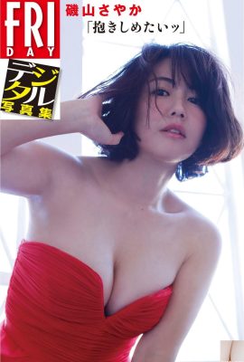 (هيساكي ناينا) تمثال نصفي مثير، صدر كبير، مليء بالإغراء (25P)