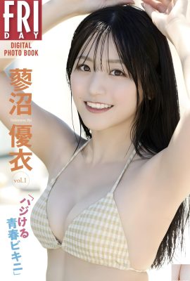 (Tainu Nichi) Angel Face + Devil Figure مثالي للغاية (22p)