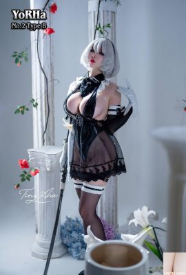 (مجموعة الإنترنت) Tiny Asa Yorha-2b (85p)