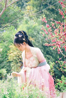 (صورة نموذج صينية نموذج) Nian”Begonia Fairy” (84p)