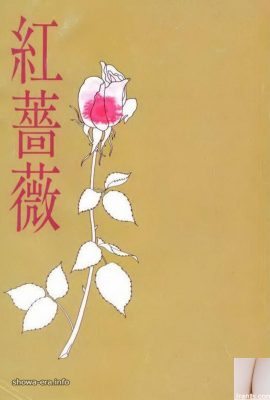 نجمة إباحية في URA-Books Red Rose (59p)