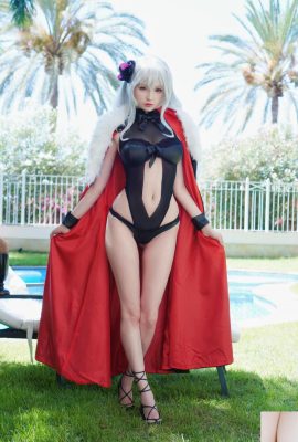 (مجموعة الإنترنت) Hidori Rose – Graf Zeppelin (30p)