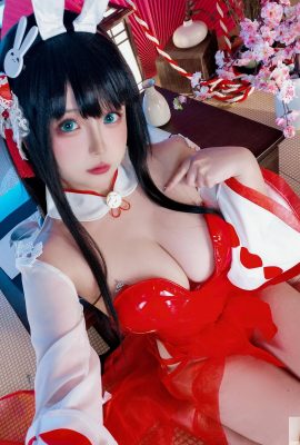 مجموعة من الإنترنت) مجموعة VIP الحصرية الكاملة لكبار الشخصيات “Oyama Bunny Girl” لـ Welfare Girl Hinako (50 نقطة)