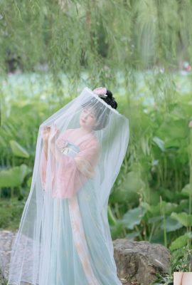 لوتس إيقاع تانغ فنغزي شياو شون (28P)