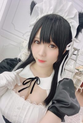 شيموتسوكي شيمو – رقم 023 أتاجو مايدن (16P)