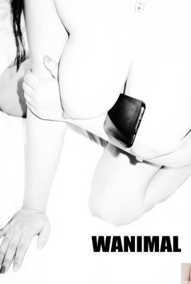 (عمل وانغ دونغ) وانغ دونغ) مجموعة صور WANIMAL Tumblr (105) (50P)